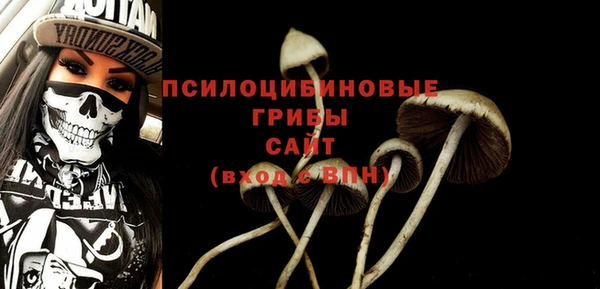 соль курить ск Верея