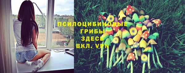 гидра Верхнеуральск