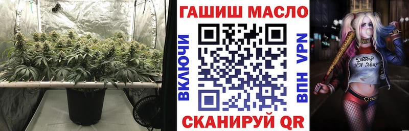 ссылка на мегу   Гудермес  ТГК жижа 