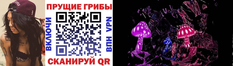 закладки  Гудермес  Галлюциногенные грибы Cubensis 